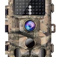 Best Trail Camera for the Money