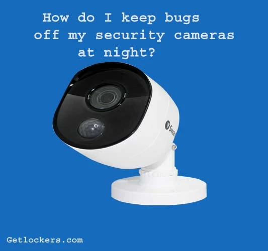 What Do Bugs Look Like On Night Vision Camera Systems