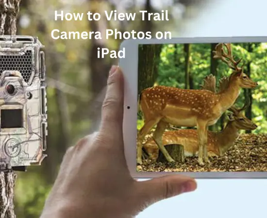 View Trail Camera Photos on iPad